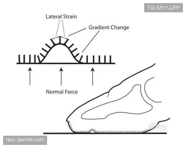 Vini高压防守下灵活应变，展现突破防线非凡能力